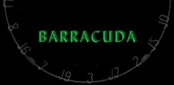 Barracuda Darts...