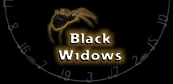 Black Widow Darts...