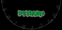 Python Darts...