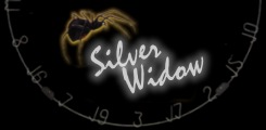 Silver Widow Darts...