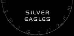 Silver Eagle Darts...